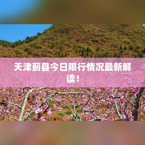 天津蓟县今日限行情况最新解读！