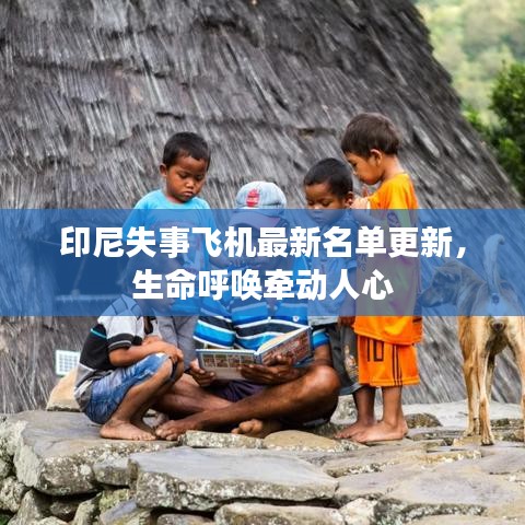 印尼失事飞机最新名单更新，生命呼唤牵动人心