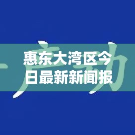惠东大湾区今日最新新闻报道速递