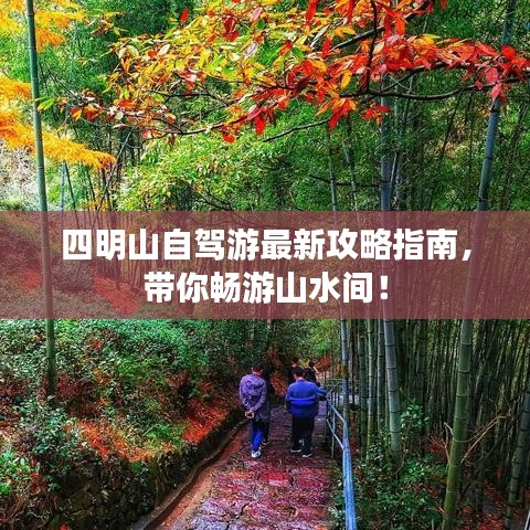 四明山自驾游最新攻略指南，带你畅游山水间！