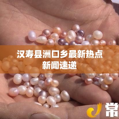 汉寿县洲口乡最新热点新闻速递