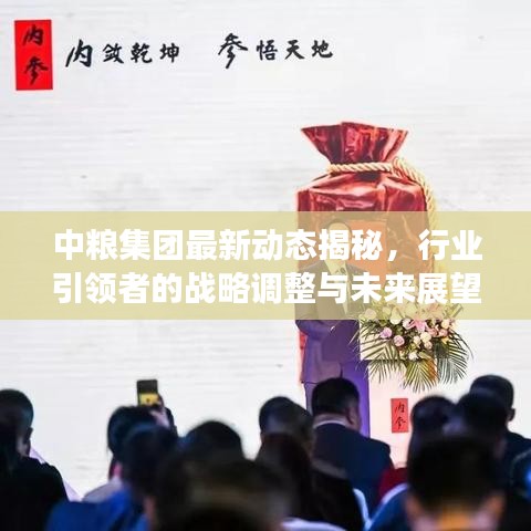 中粮集团最新动态揭秘，行业引领者的战略调整与未来展望
