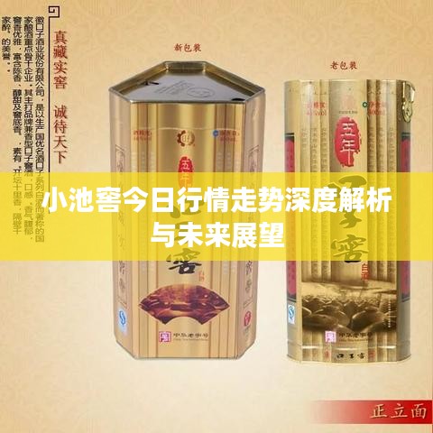 小池窖今日行情走势深度解析与未来展望