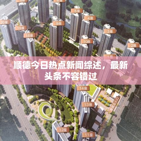 顺德今日热点新闻综述，最新头条不容错过