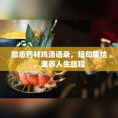 励志药材鸡汤语录，短句集结，滋养人生旅程