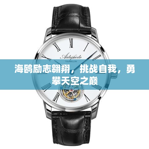 海鸥励志翱翔，挑战自我，勇攀天空之巅