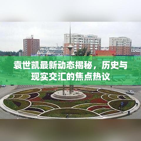 袁世凯最新动态揭秘，历史与现实交汇的焦点热议
