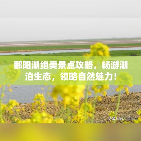 鄱阳湖绝美景点攻略，畅游湖泊生态，领略自然魅力！