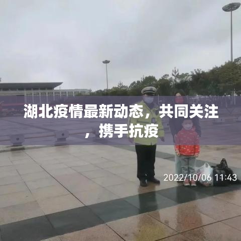 湖北疫情最新动态，共同关注，携手抗疫