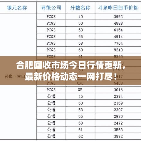 合肥回收市场今日行情更新，最新价格动态一网打尽！