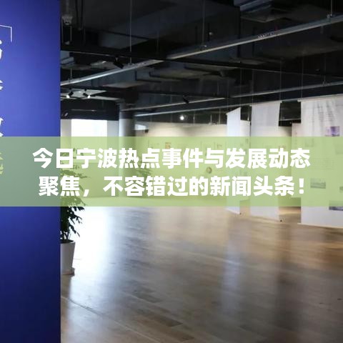 今日宁波热点事件与发展动态聚焦，不容错过的新闻头条！