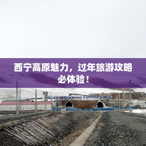 西宁高原魅力，过年旅游攻略必体验！
