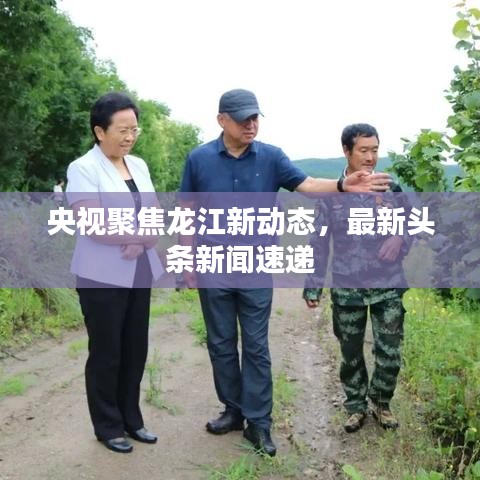 央视聚焦龙江新动态，最新头条新闻速递