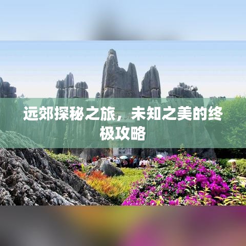 远郊探秘之旅，未知之美的终极攻略