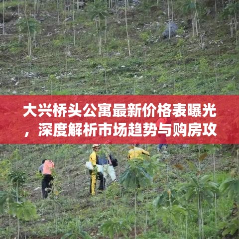 大兴桥头公寓最新价格表曝光，深度解析市场趋势与购房攻略