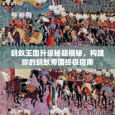 蚂蚁王国升级秘籍揭秘，构建你的蚂蚁帝国终极指南