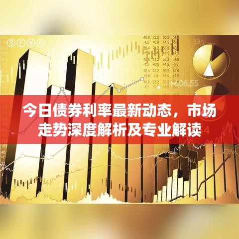 今日债券利率最新动态，市场走势深度解析及专业解读