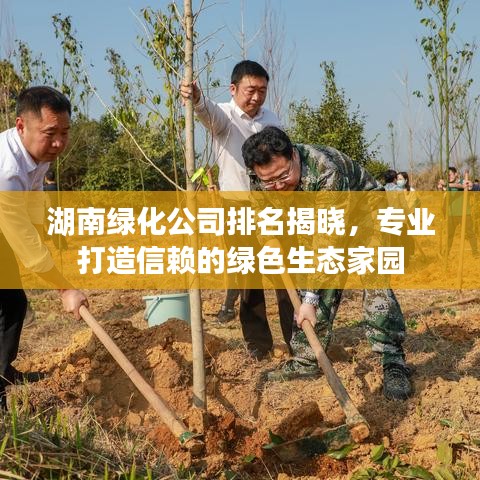湖南绿化公司排名揭晓，专业打造信赖的绿色生态家园