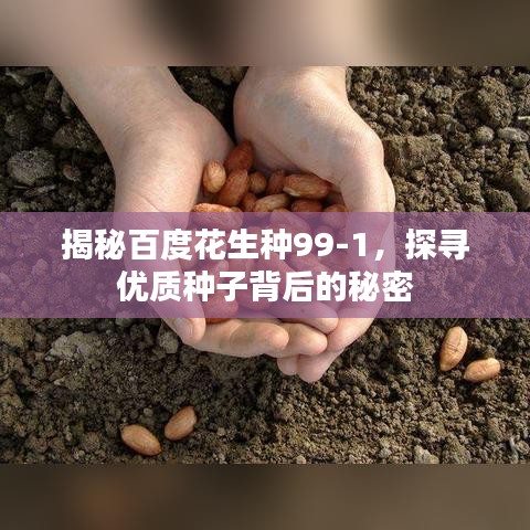 揭秘百度花生种99-1，探寻优质种子背后的秘密