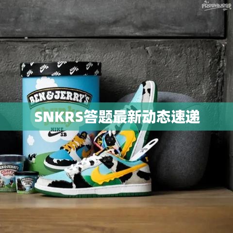 SNKRS答题最新动态速递