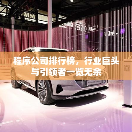 程序公司排行榜，行业巨头与引领者一览无余