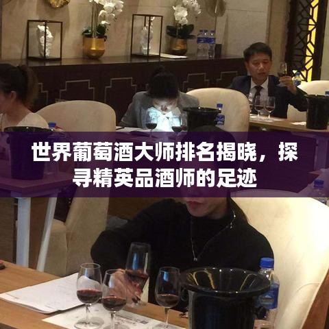 世界葡萄酒大师排名揭晓，探寻精英品酒师的足迹