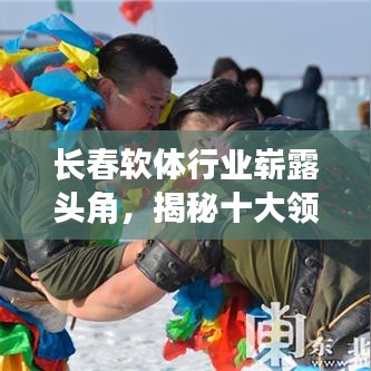 长春软体行业崭露头角，揭秘十大领军企业名单！