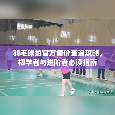 羽毛球拍官方售价查询攻略，初学者与进阶者必读指南
