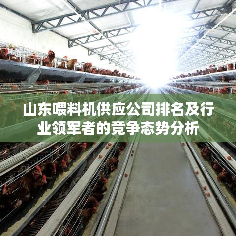 山东喂料机供应公司排名及行业领军者的竞争态势分析