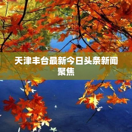 天津丰台最新今日头条新闻聚焦