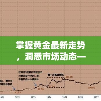 掌握黄金最新走势，洞悉市场动态——开金今日价格表权威发布
