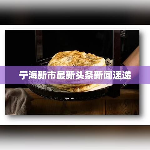 宁海新市最新头条新闻速递