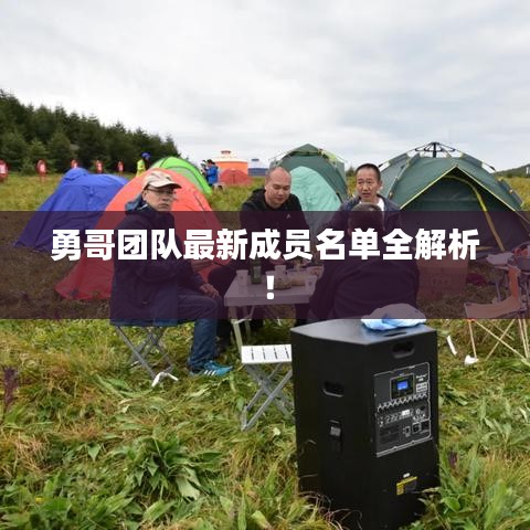 勇哥团队最新成员名单全解析！