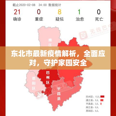 东北市最新疫情解析，全面应对，守护家园安全