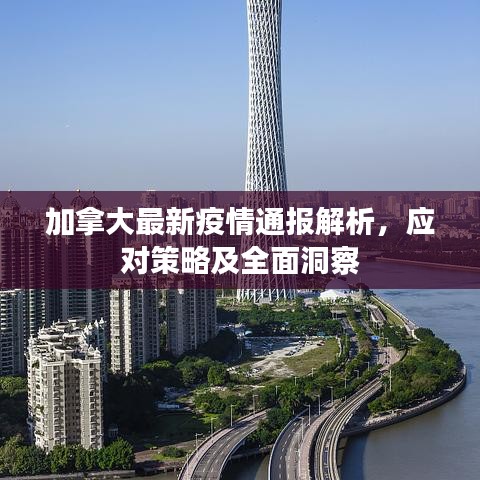 加拿大最新疫情通报解析，应对策略及全面洞察