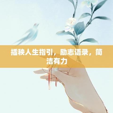 插秧人生指引，励志语录，简洁有力