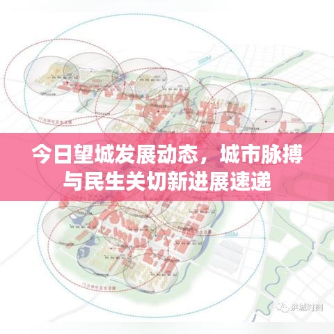 今日望城发展动态，城市脉搏与民生关切新进展速递