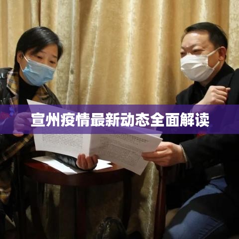 宣州疫情最新动态全面解读