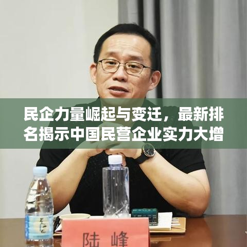 民企力量崛起与变迁，最新排名揭示中国民营企业实力大增