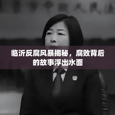 临沂反腐风暴揭秘，腐败背后的故事浮出水面
