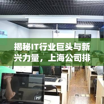 揭秘IT行业巨头与新兴力量，上海公司排名榜单重磅出炉！