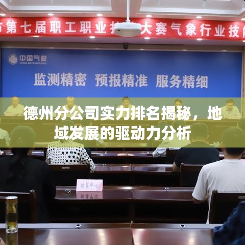 德州分公司实力排名揭秘，地域发展的驱动力分析