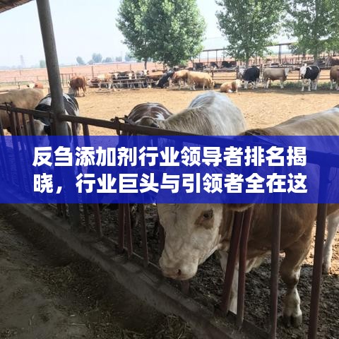 反刍添加剂行业领导者排名揭晓，行业巨头与引领者全在这！