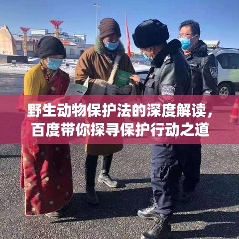 野生动物保护法的深度解读，百度带你探寻保护行动之道