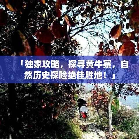 「独家攻略，探寻黄牛寨，自然历史探险绝佳胜地！」