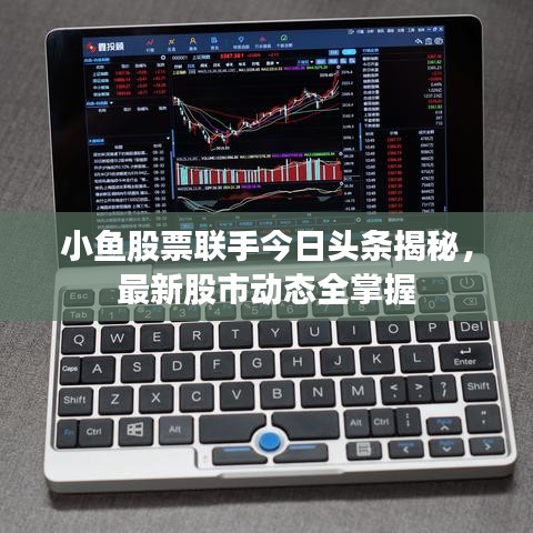 小鱼股票联手今日头条揭秘，最新股市动态全掌握