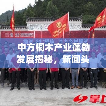 中方桐木产业蓬勃发展揭秘，新闻头条带你探寻产业前沿动态