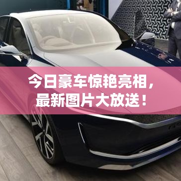 今日豪车惊艳亮相，最新图片大放送！