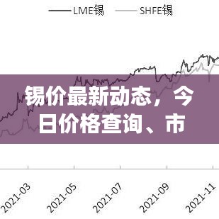 锡价最新动态，今日价格查询、市场走势及影响因素深度解析