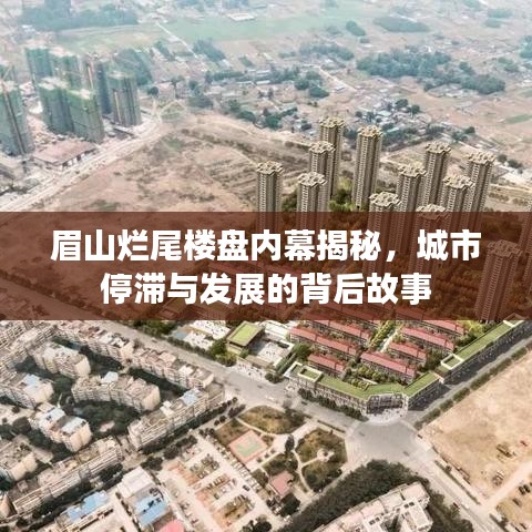 眉山烂尾楼盘内幕揭秘，城市停滞与发展的背后故事